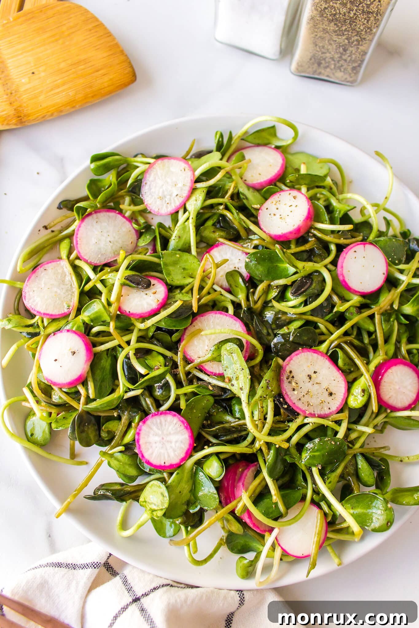 A vibrant Microgreens Salad with thinly sliced radishes on a clean white plate, ready to be enjoyed.