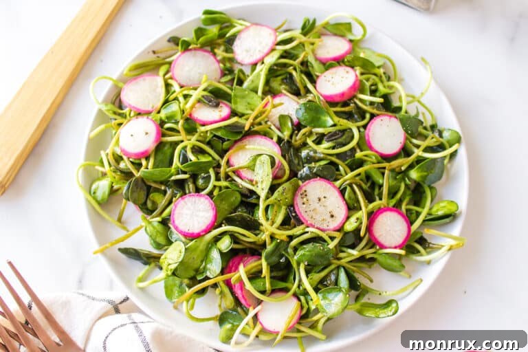 Microgreens with radish salad on a white plate.