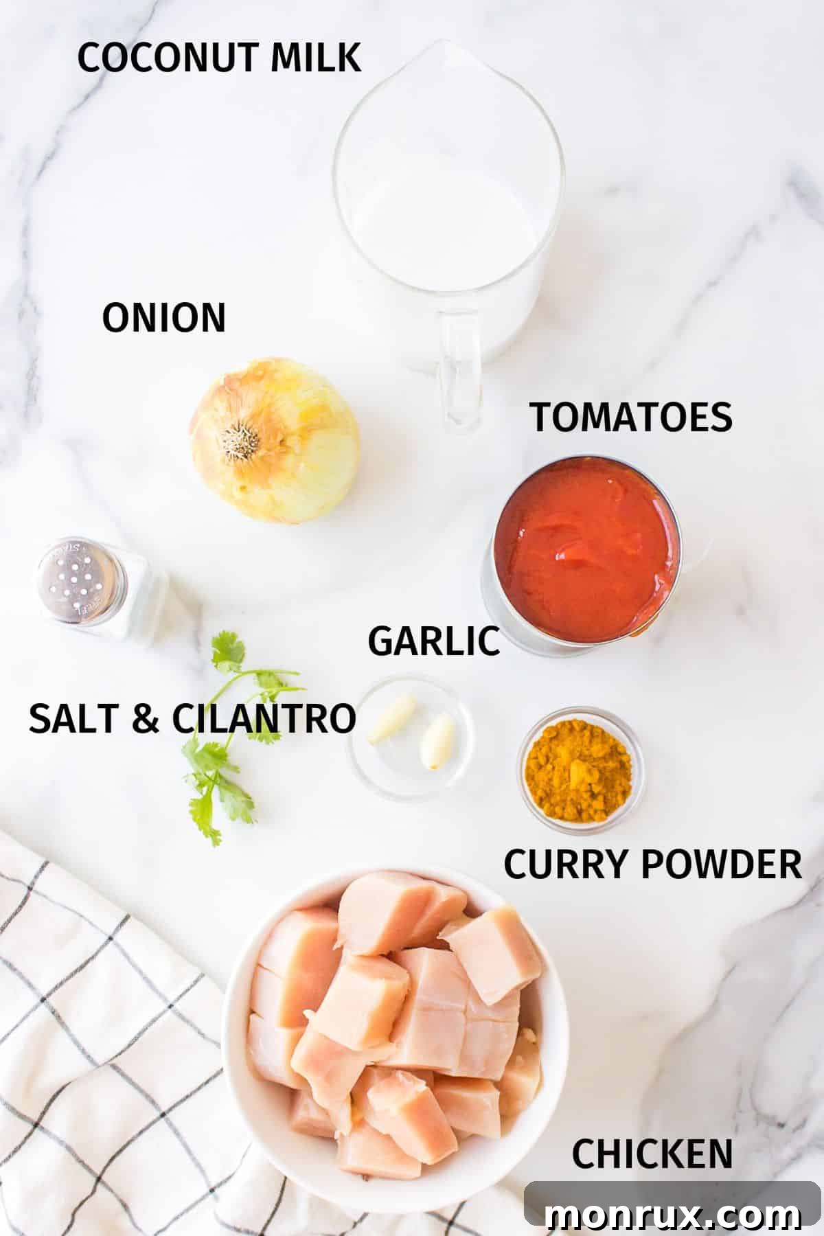 Neatly arranged small bowls displaying fresh ingredients for simple chicken curry on a clean white surface.