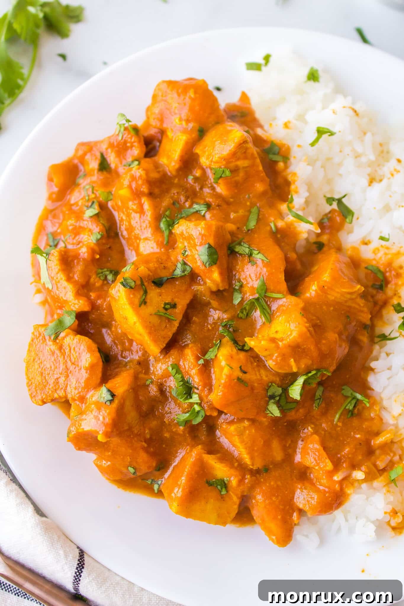 A beautifully plated white dinner plate generously loaded with fragrant white rice and a serving of creamy chicken curry.