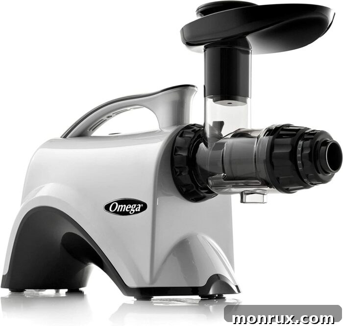 A durable Omega slow masticating juicer, known for high yield and nutrient preservation.