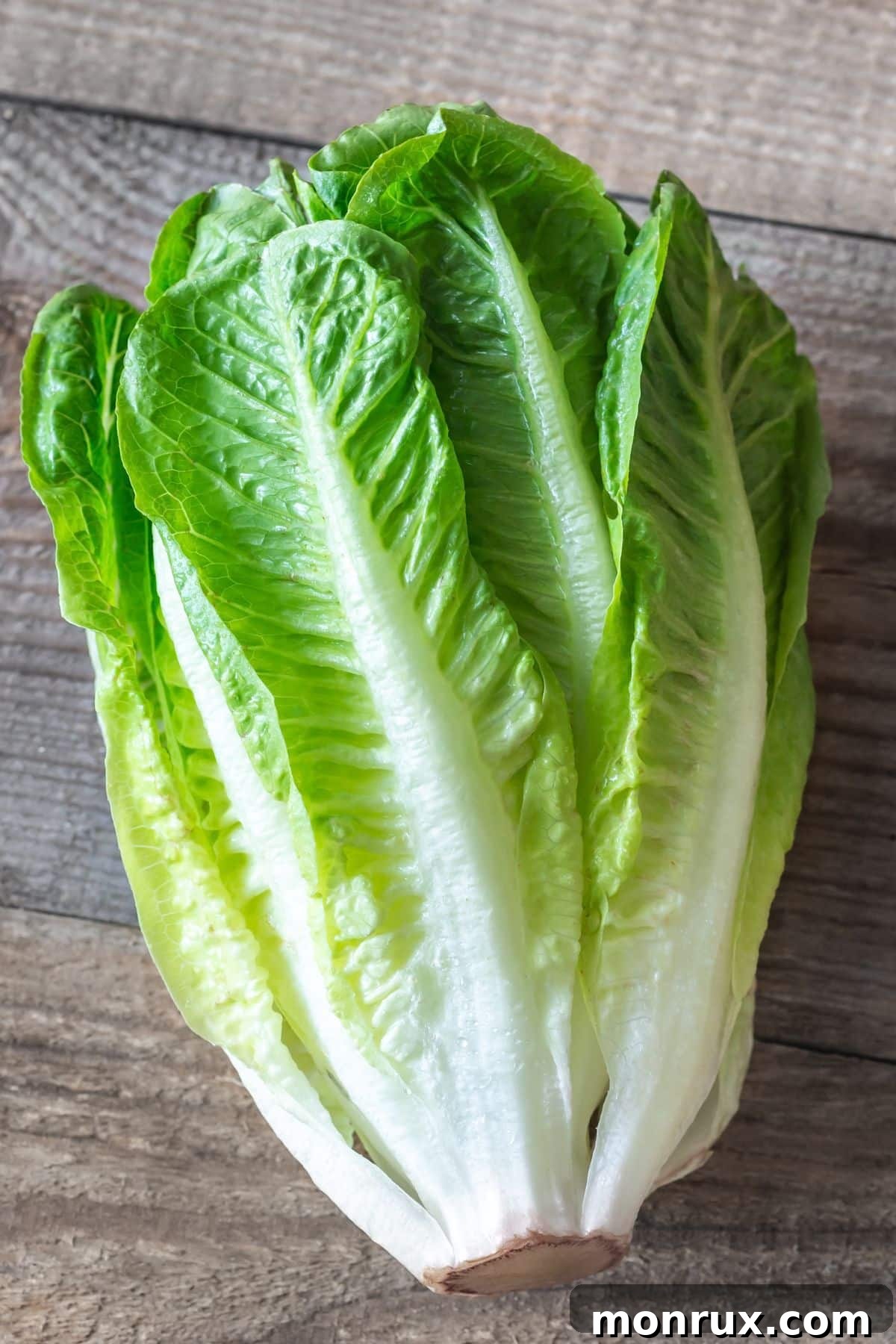 Head of romaine lettuce on wooden surface.