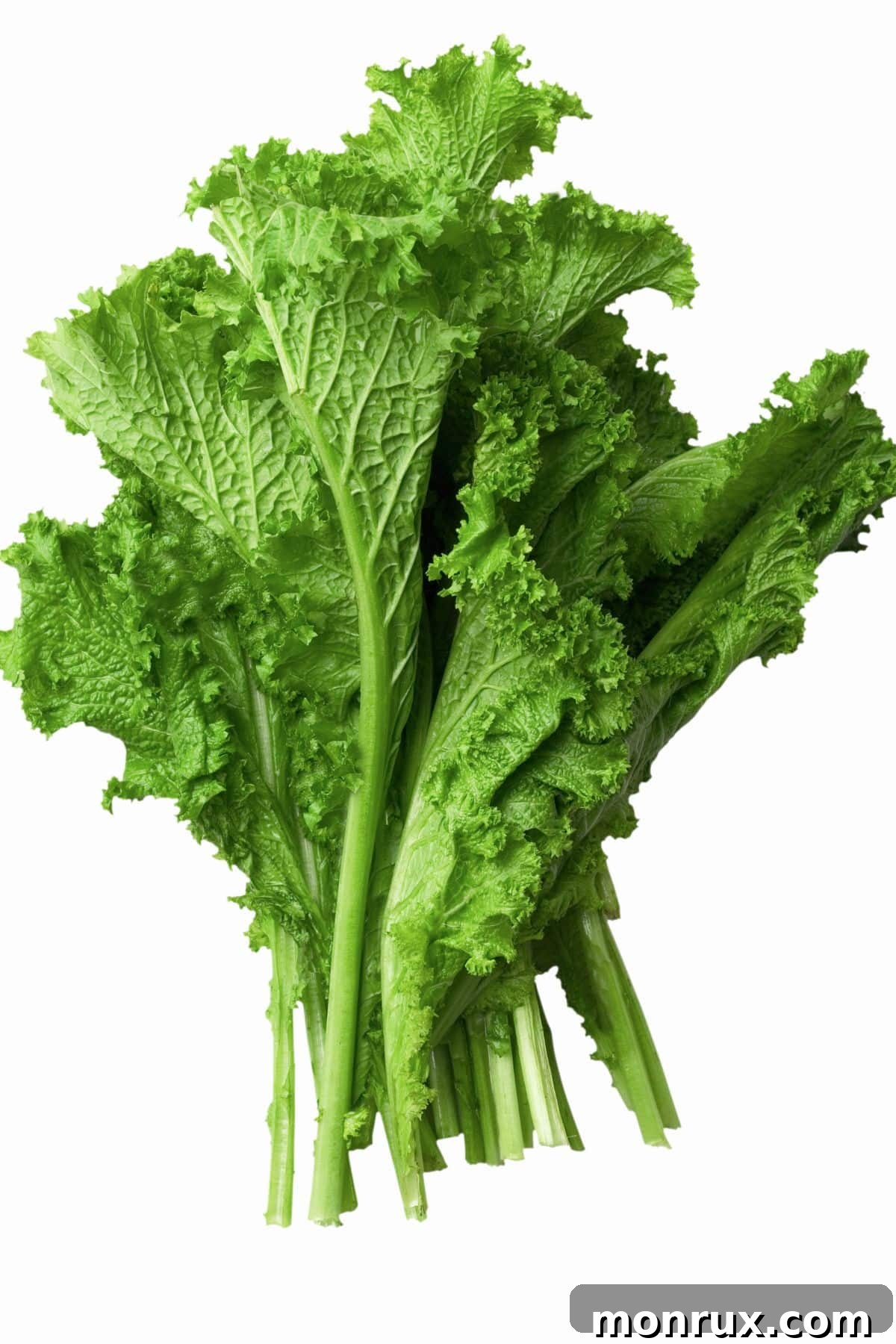 Bunch of mustard greens on white background.