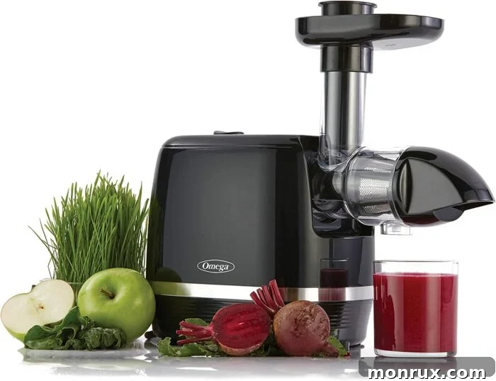 An Omega H3000D 365 juicer, a compact and efficient masticating juicer in black.