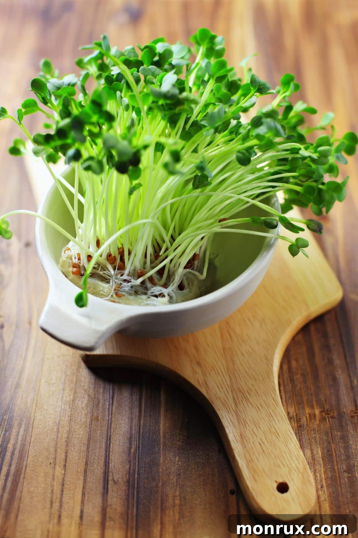 A bowl of freshly harvested broccoli microgreens on a wooden cutting board, ready for use.