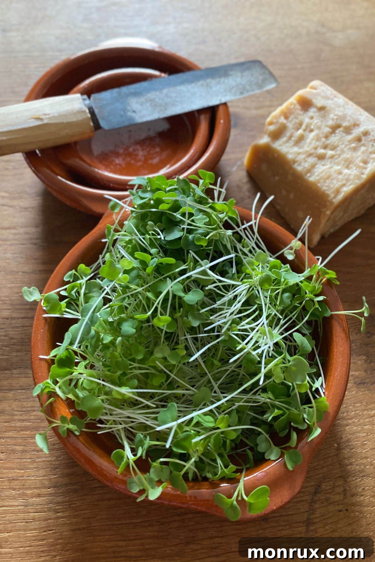 A bowl overflowing with vibrant radish microgreens, showcasing their fresh appearance.