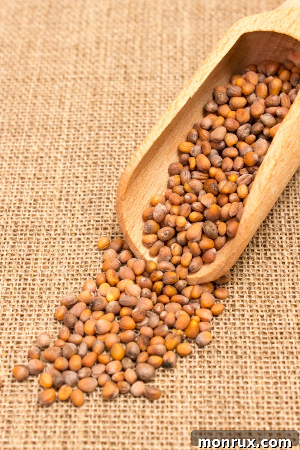 Close-up of organic radish seeds in a wooden scoop, ready for planting.