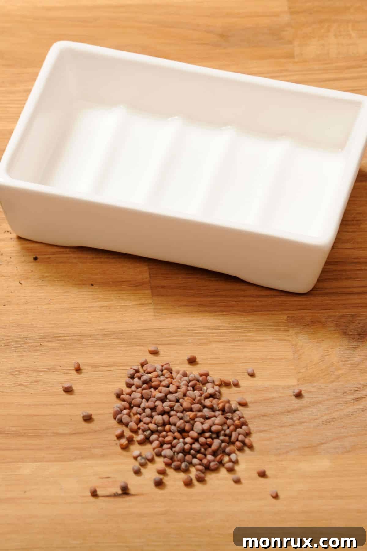 A microgreen growing container next to a small pile of radish seeds, highlighting necessary supplies.