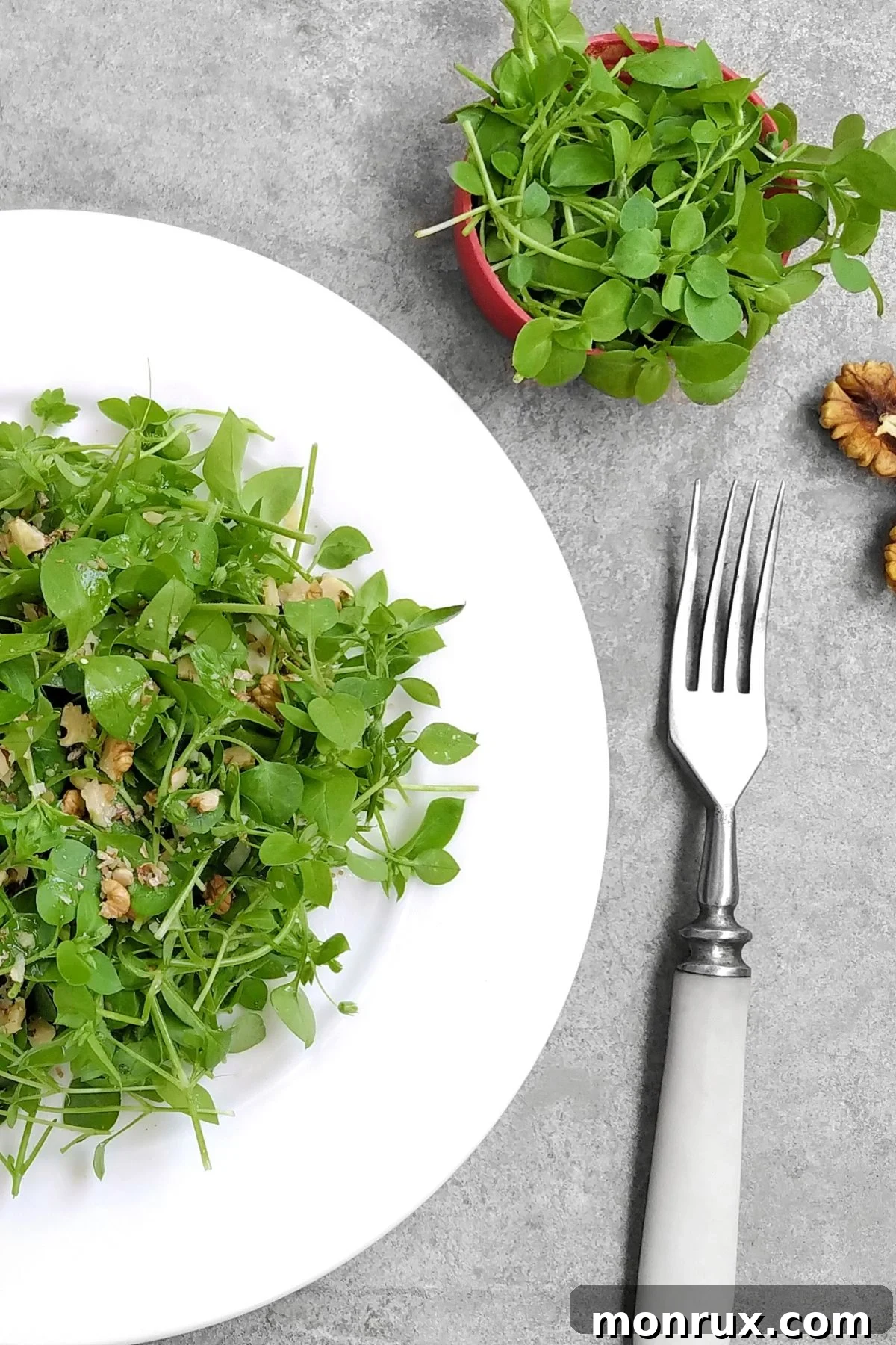 A vibrant salad brimming with fresh microgreens, showcasing their use in healthy meals.