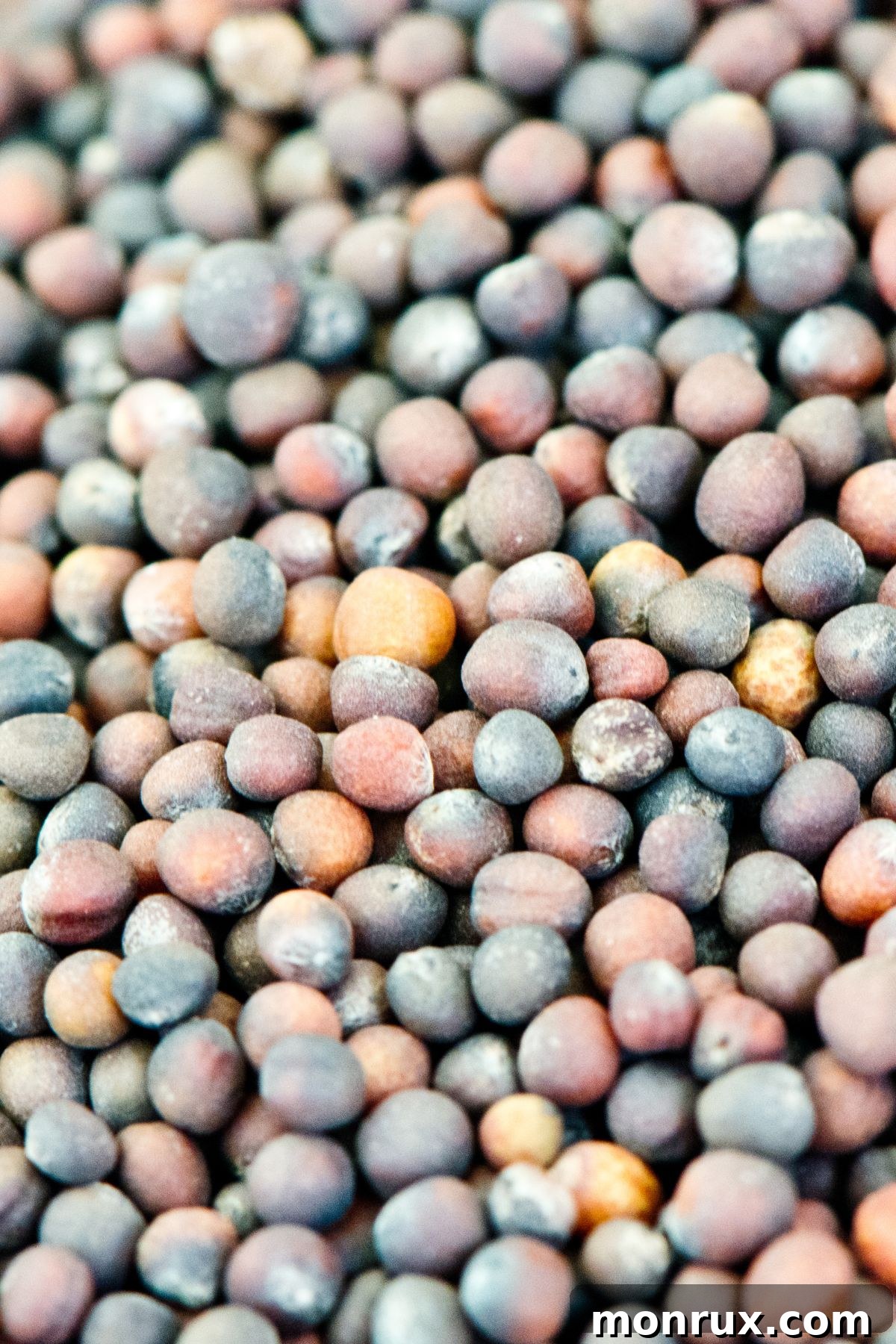 A close-up photograph of tiny kale seeds, ready for planting.