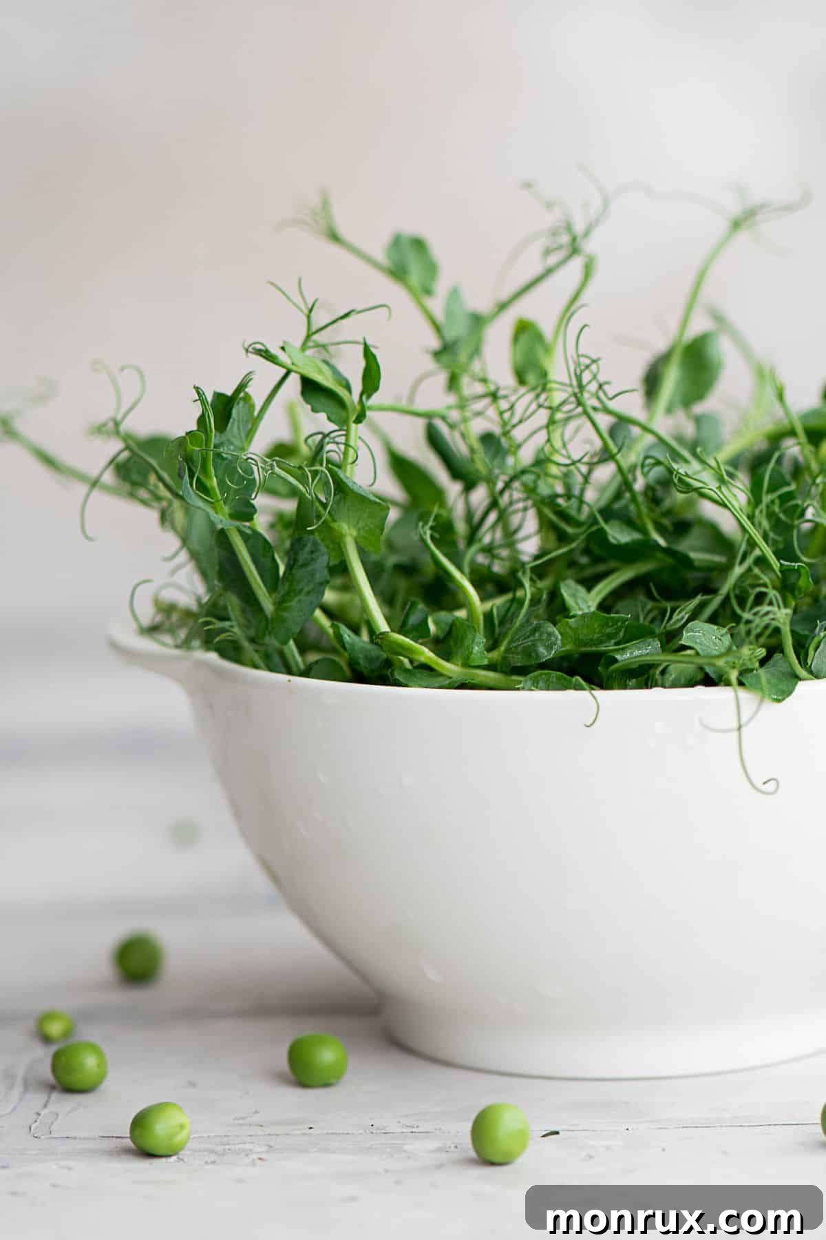 A vibrant bowl of freshly harvested pea microgreens, ready to eat.