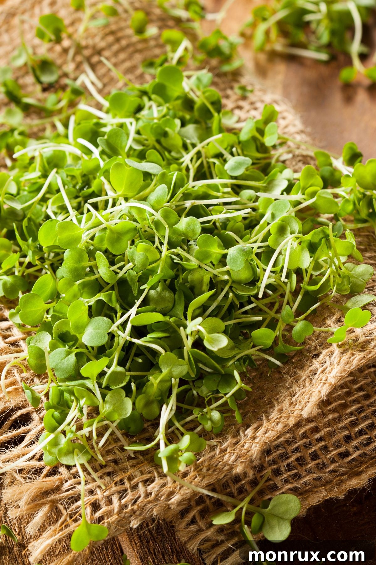 A vibrant bunch of fresh arugula microgreens resting on a natural woven mat, ready for harvest or culinary use.
