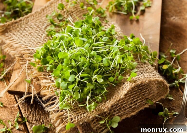 A beautiful bunch of freshly grown arugula microgreens on a woven mat, ready to be enjoyed.