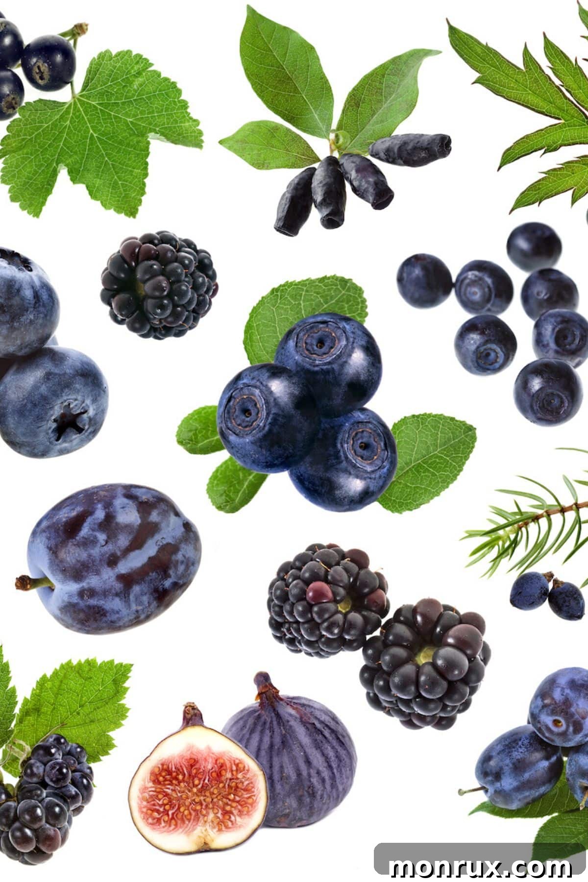 A vibrant collage showcasing a variety of the best blue fruits, emphasizing their diverse textures and shades.
