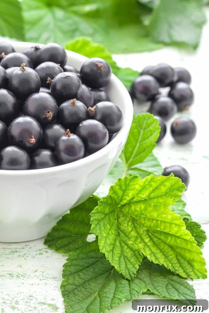 A pristine white bowl filled with glistening black currants, highlighting their dark, rich color.