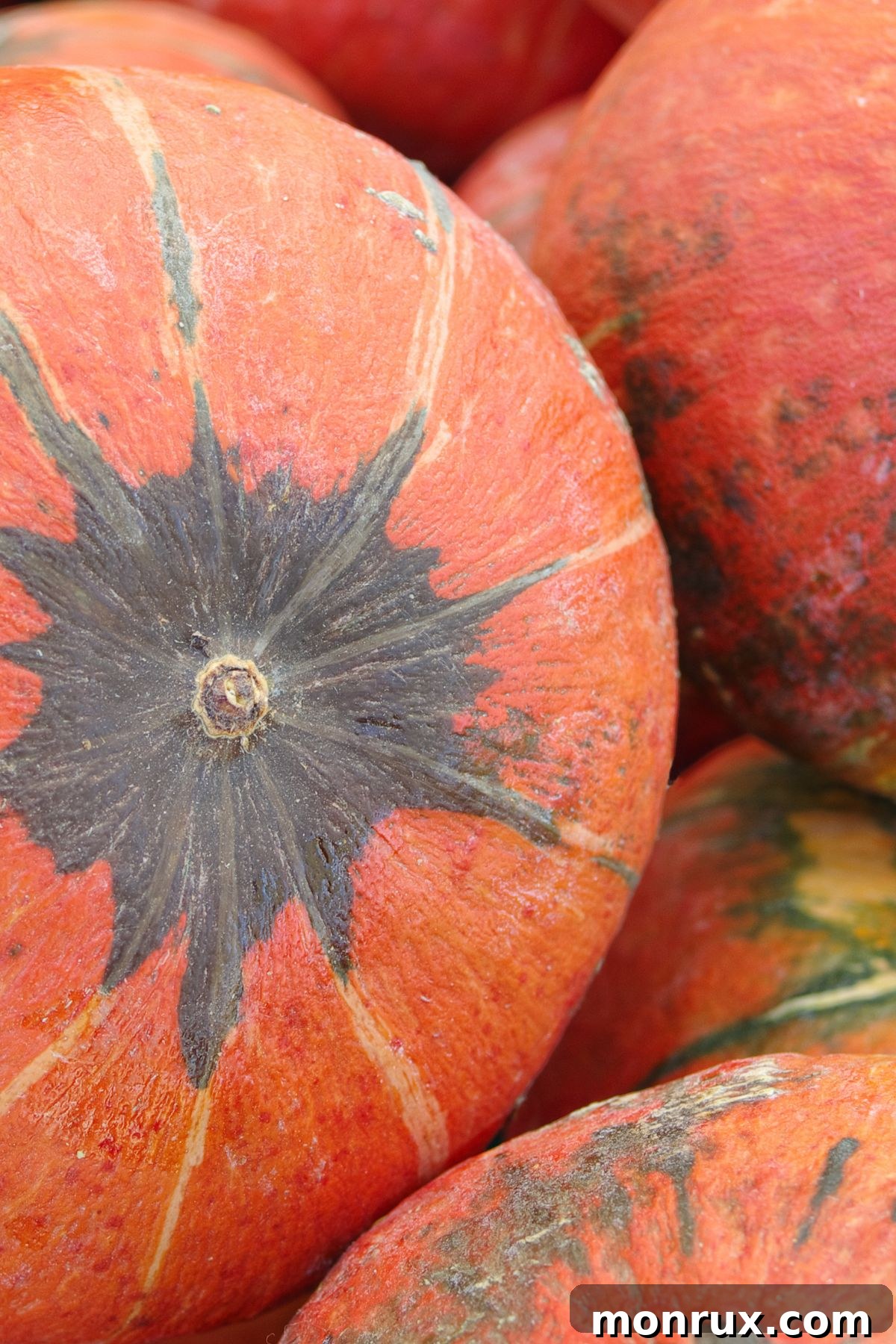A close-up shot of several richly textured orange kabocha squashes, highlighting their unique shape and earthy appeal.