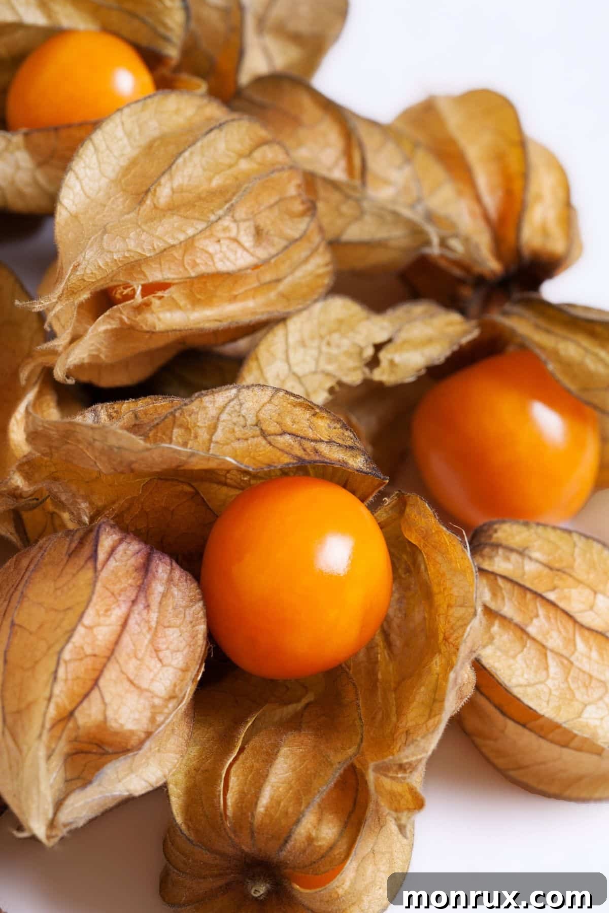 Several vibrant orange physalis fruits, still encased in their delicate, papery husks, elegantly displayed on a pristine white background.