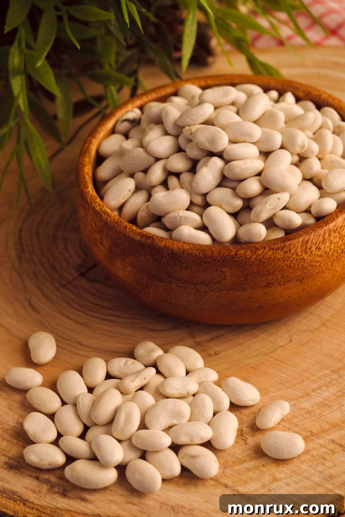 A charming bowl filled with white haricot beans, accompanied by scattered beans on a rustic wooden surface.