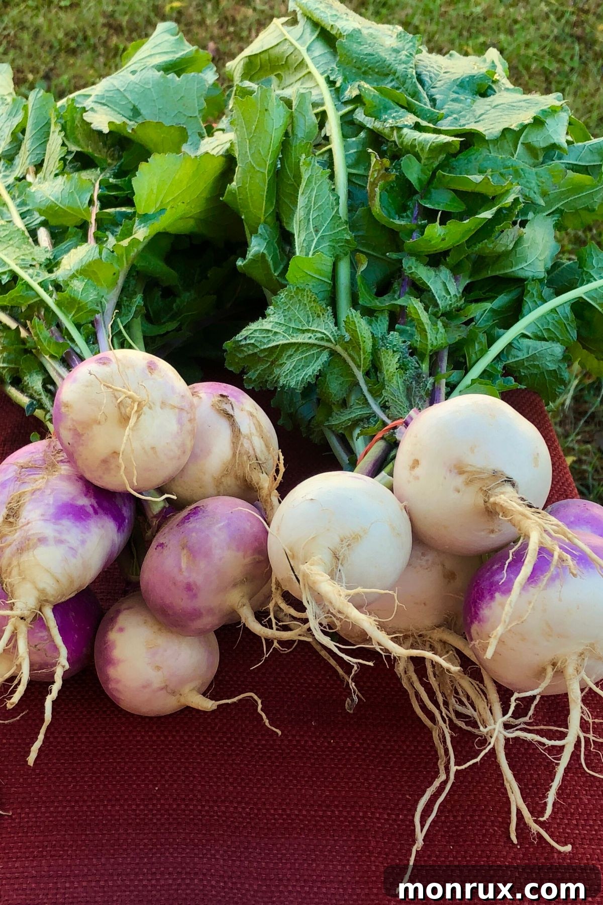Two bunches of fresh turnips on a wooden table, ready for cooking.