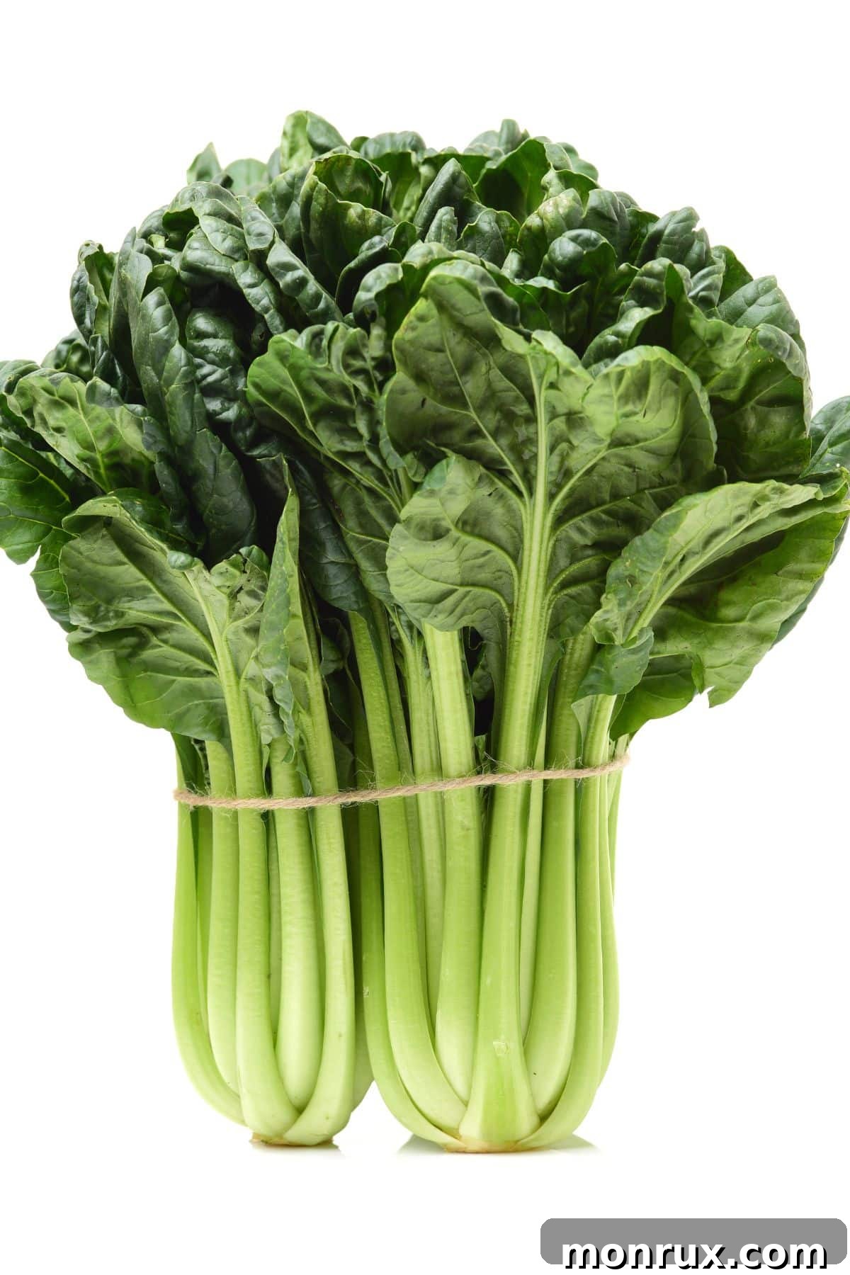 A fresh bunch of tatsoi, bound with a rubber band, showcasing its spoon-shaped leaves.