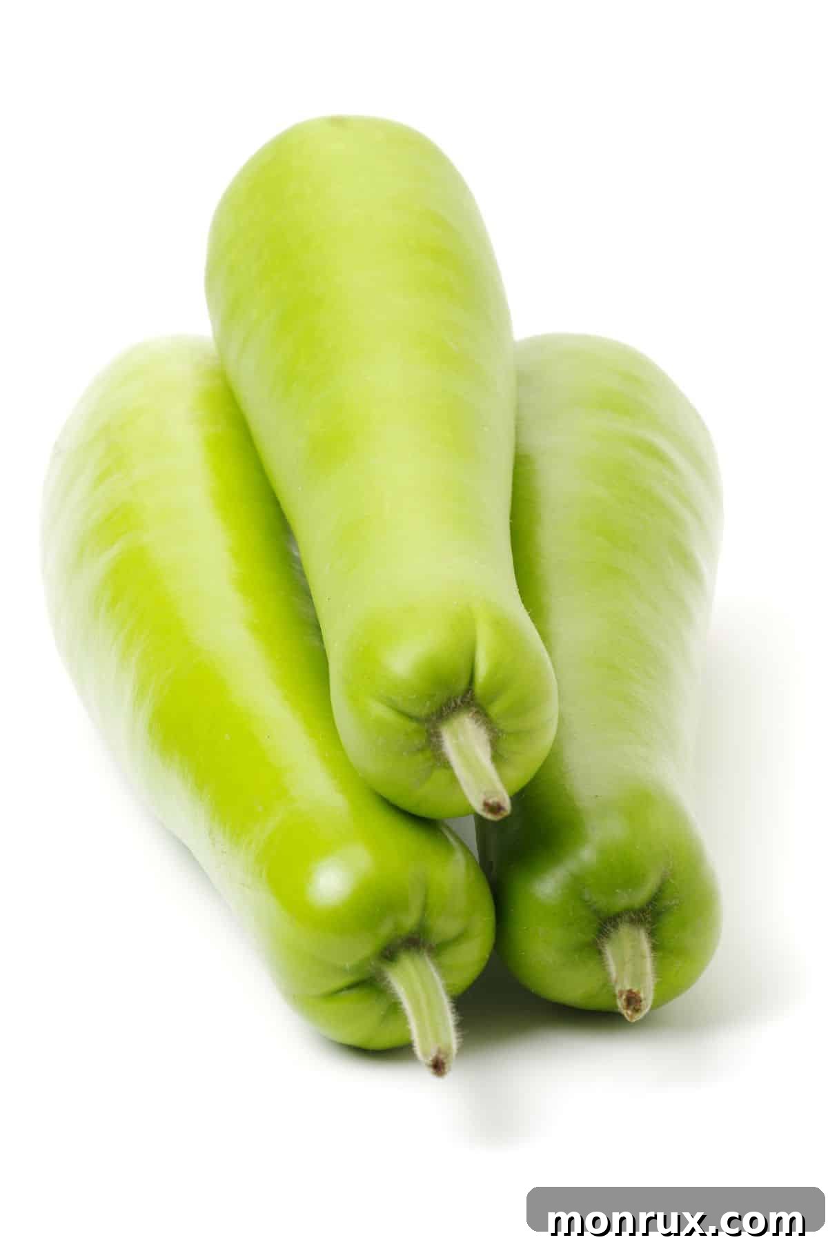 Three fresh, green long squashes, displaying their elongated, cylindrical form, neatly arranged.