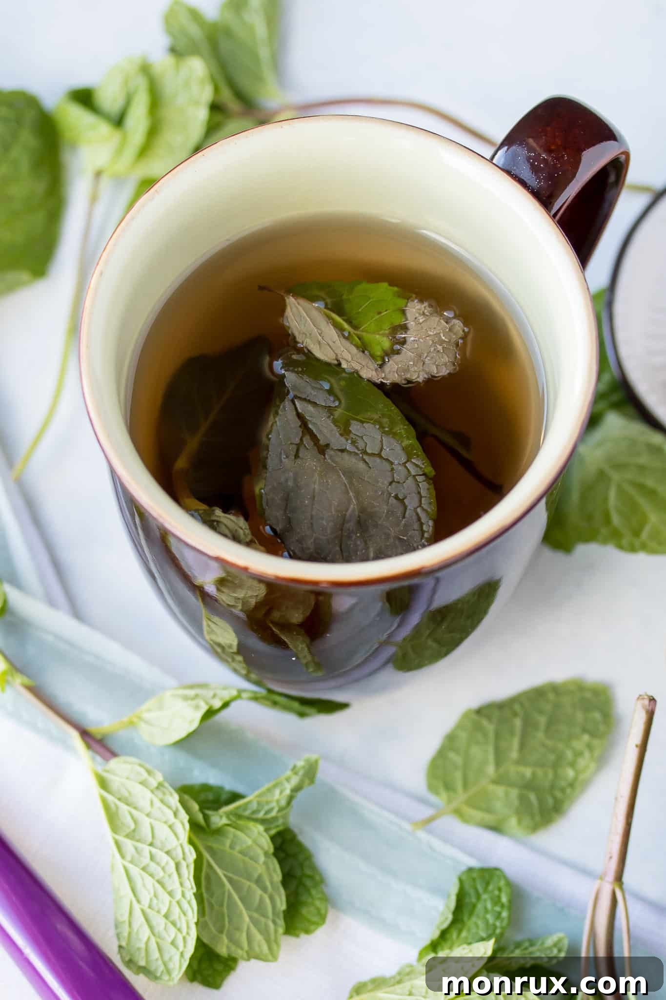 A single mug served with fresh mint leaves and a spoon