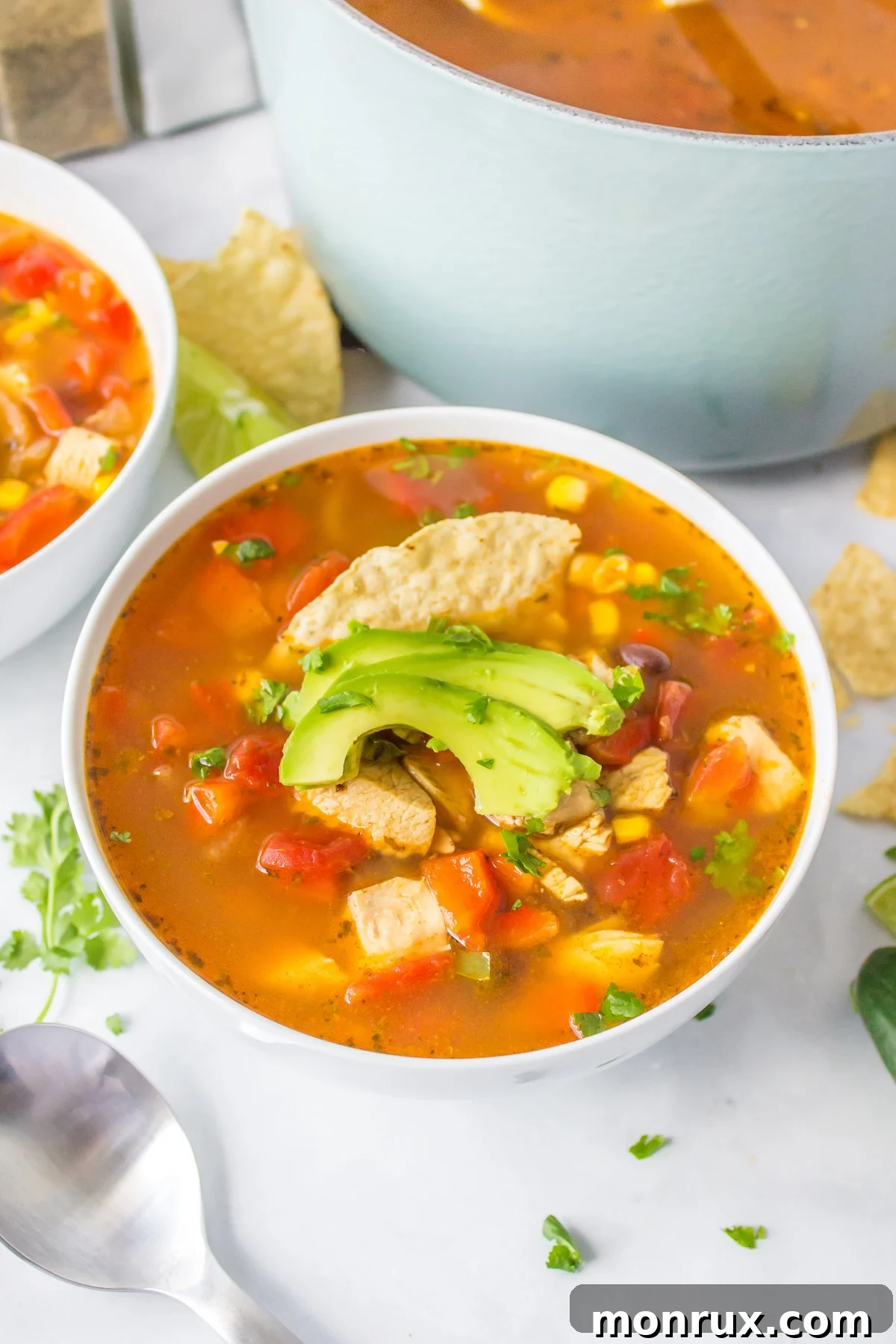 A steaming bowl of homemade Panera chicken tortilla soup, garnished with fresh cilantro and tortilla strips.