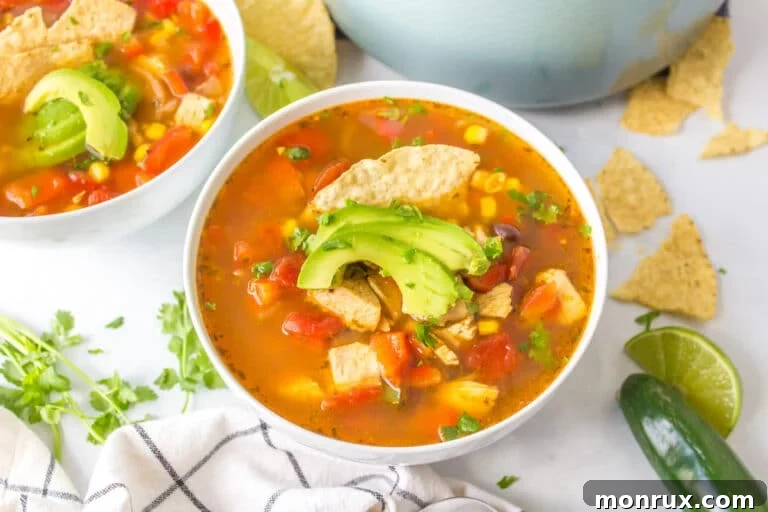 A beautifully presented bowl of Panera chicken tortilla soup, ready to be enjoyed.