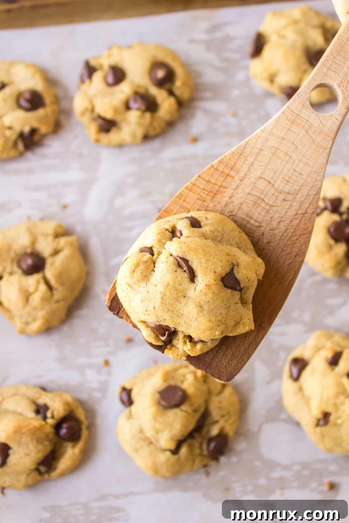 A single perfectly baked chocolate chip cookie without butter resting on a wooden spatula, showcasing its golden-brown edges and soft center.