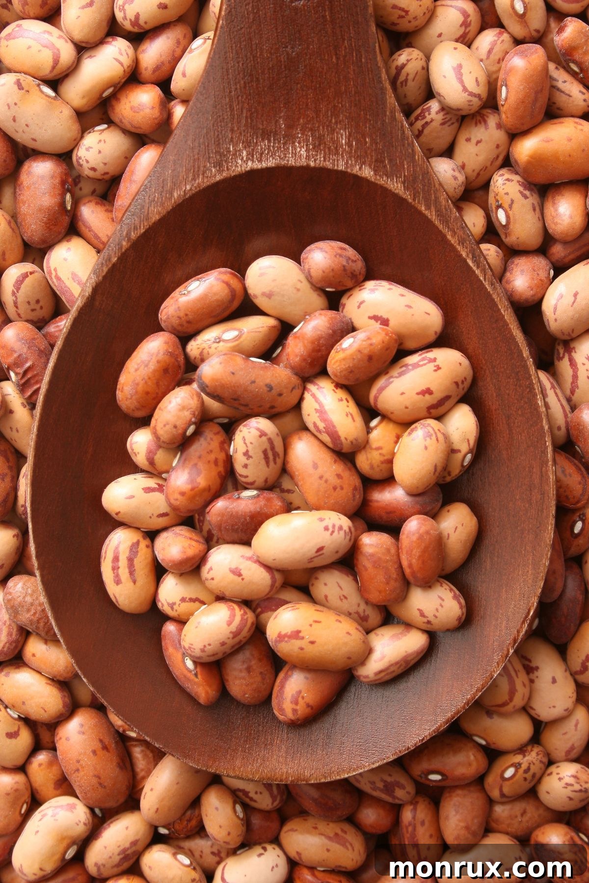 A wooden spoon delicately balancing a handful of dry pinto beans, showcasing their light color and speckled appearance.
