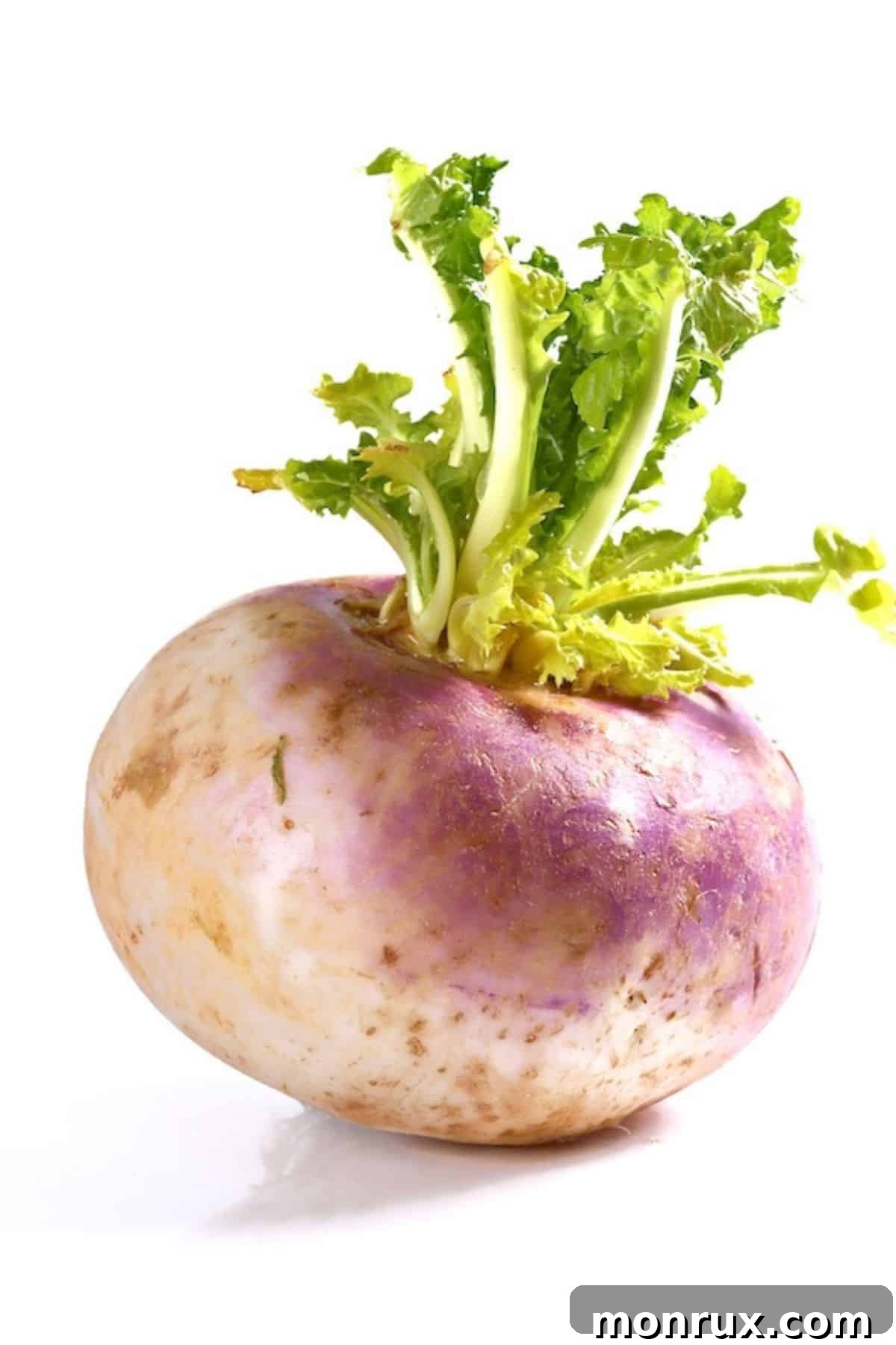 Fresh turnip with its greens still attached, showcasing its natural form.