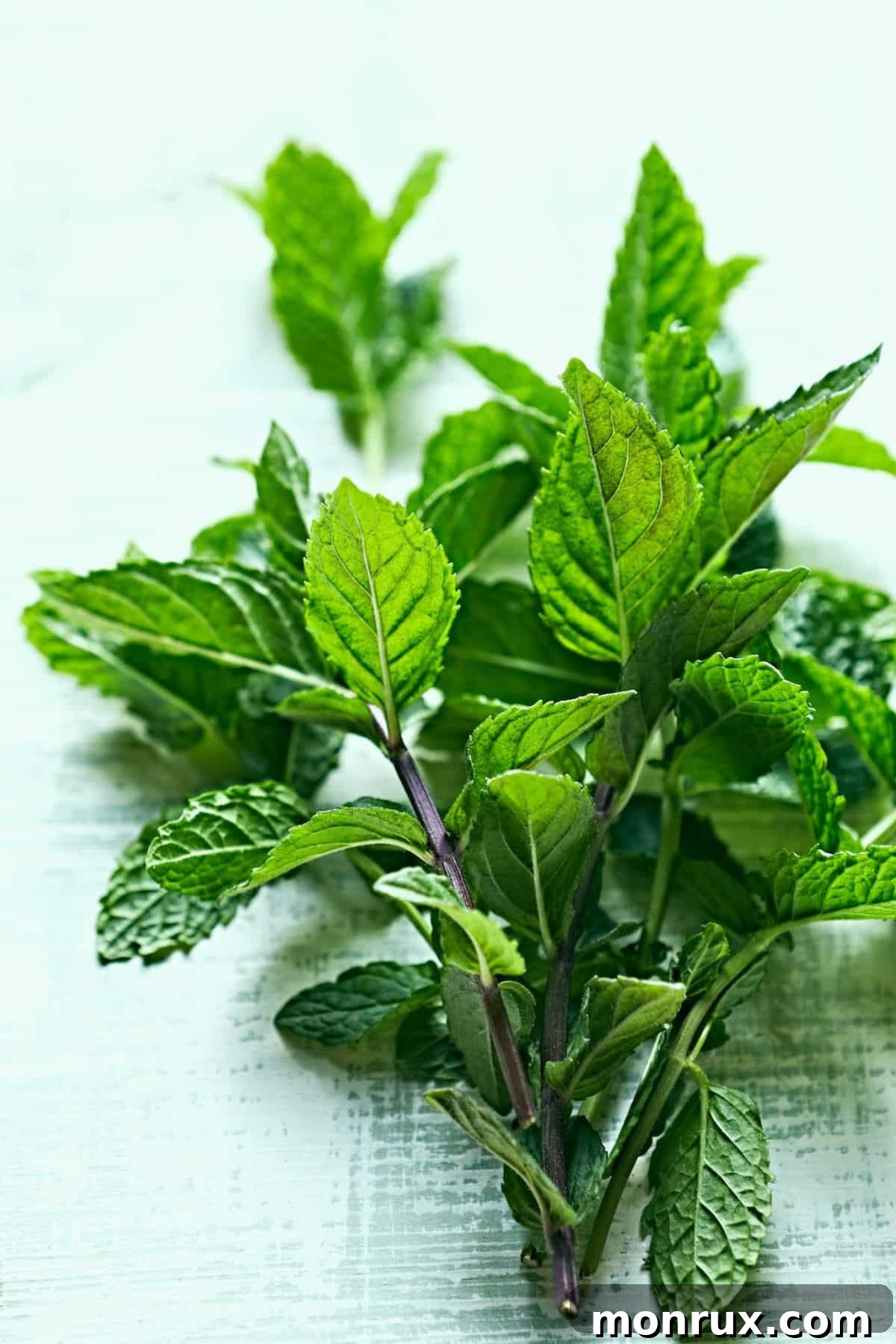 fresh mint leaves on countertop.