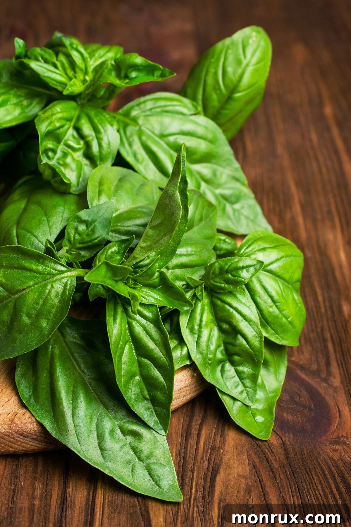 bunch of fresh basil leaves.
