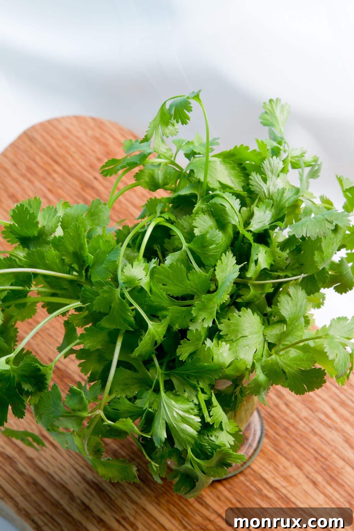 fresh cilantro on table.