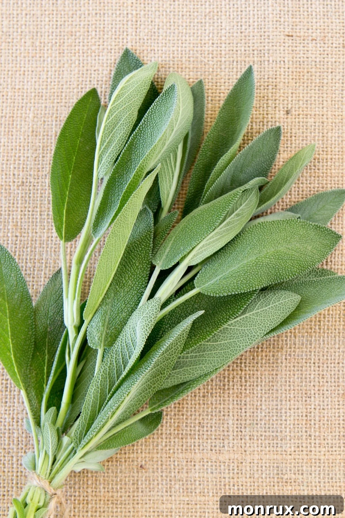 A bundle of sage leaves on a burlap surface.