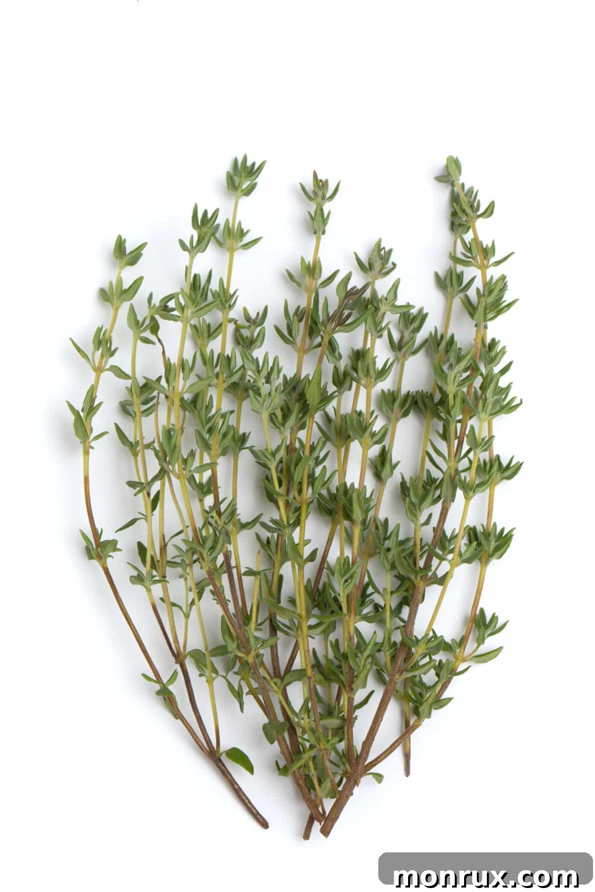 fresh thyme on table.