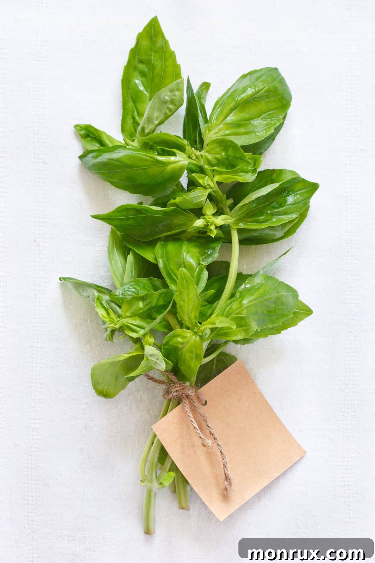 fresh basil on table.