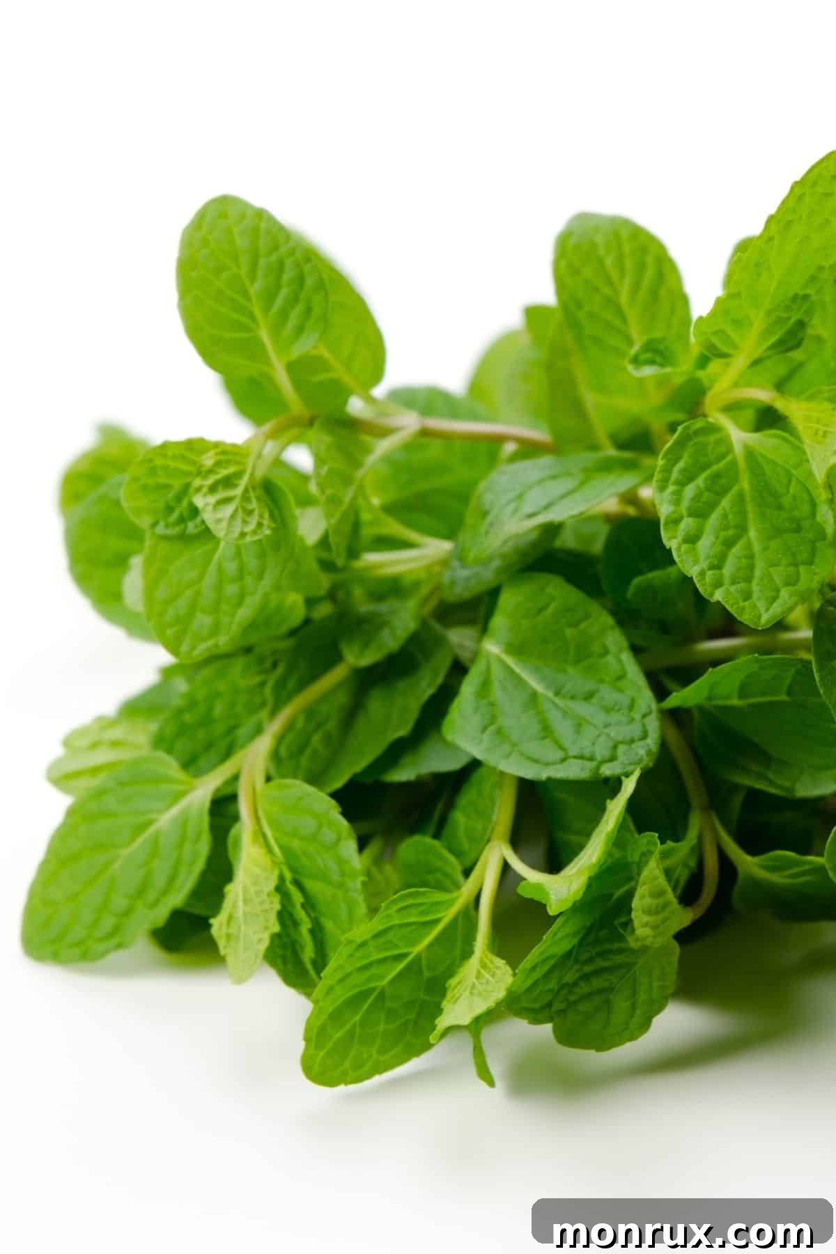 A bunch of fresh spearmint.