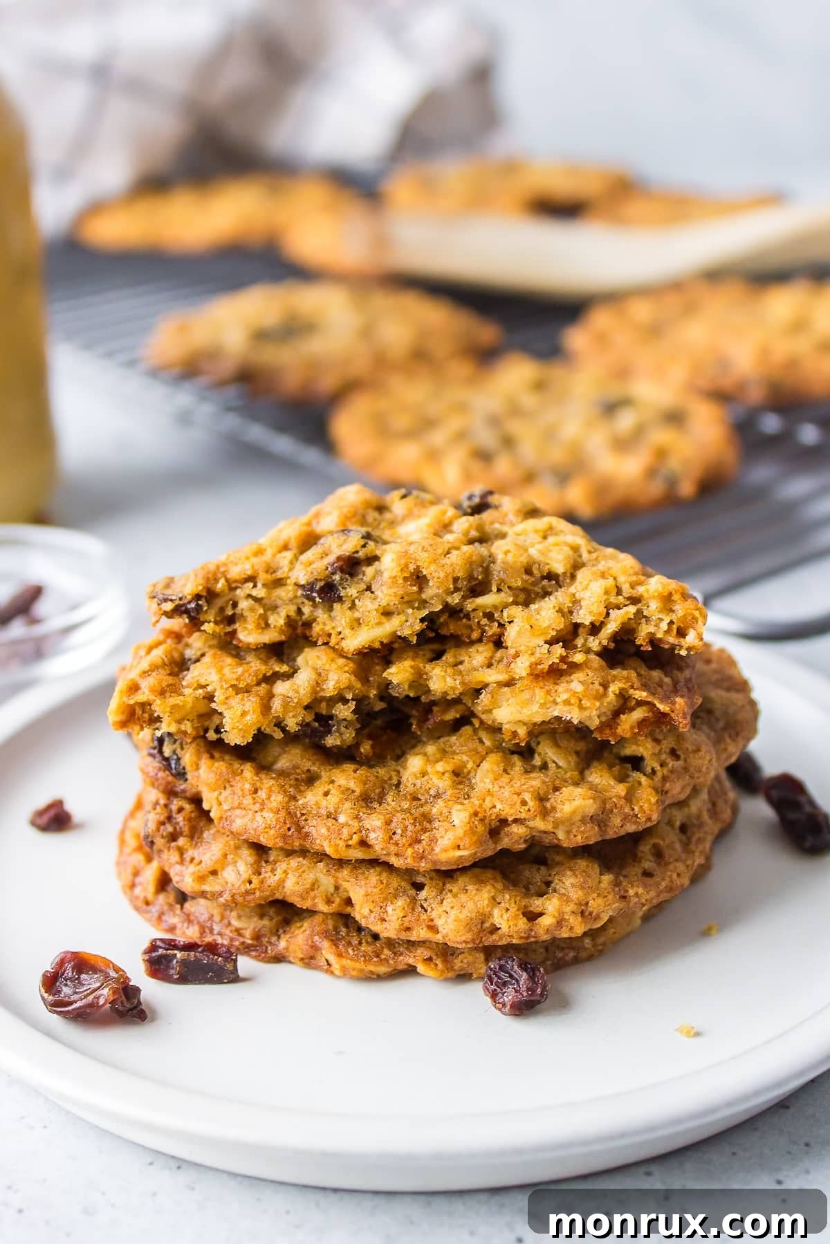 Delicious egg-free oatmeal raisin cookies, perfectly baked and ready to enjoy.